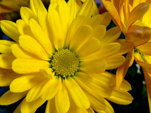 424119 (a): :1024x768